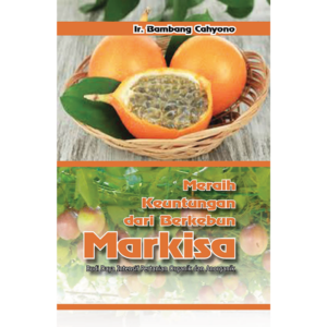 Meraih Keuntungan dari Berkebun Markisa
